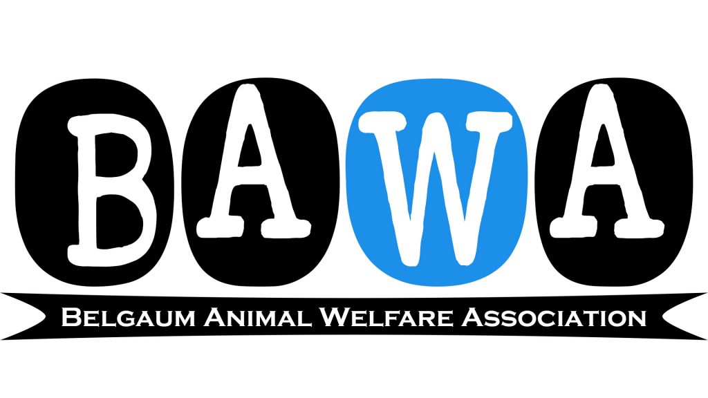 The Belgaum Animal Welfare Association (BAWA): Saving And Rescuing Animals  – The Flag Post